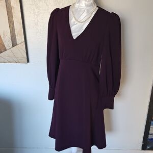 Calvin Klein Deep Purple Long Sleeve Dress